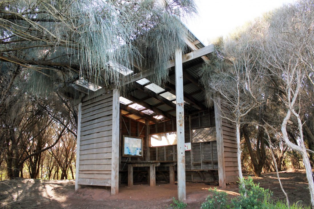 Campsite shelters on the Great Ocean Walk