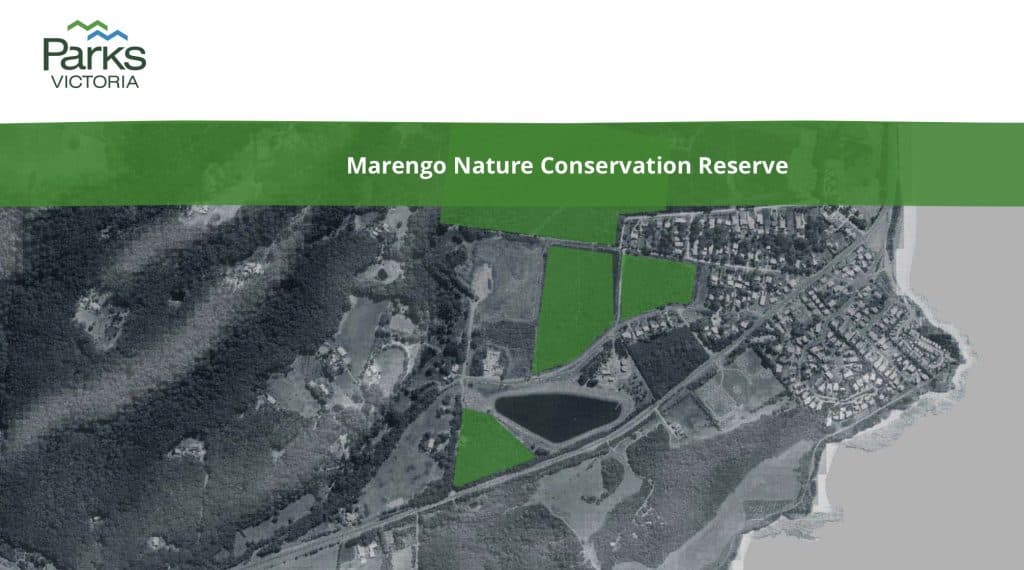 Aerial map showing Marengo Nature Conservation Reserve, highlighted in green near a residential area and coastline; the Parks Victoria logo appears at the top left.