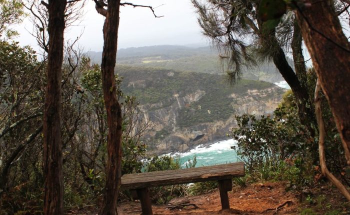 A bench on a trail overlooking the ocean.