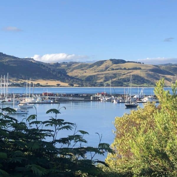 A picturesque harbor with multiple boats docked in calm water, surrounded by lush green hills under a clear blue sky.