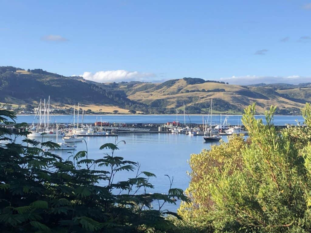 Apollo Bay harbour with multiple boats docked in calm water, surrounded by lush green hills under a clear blue sky.