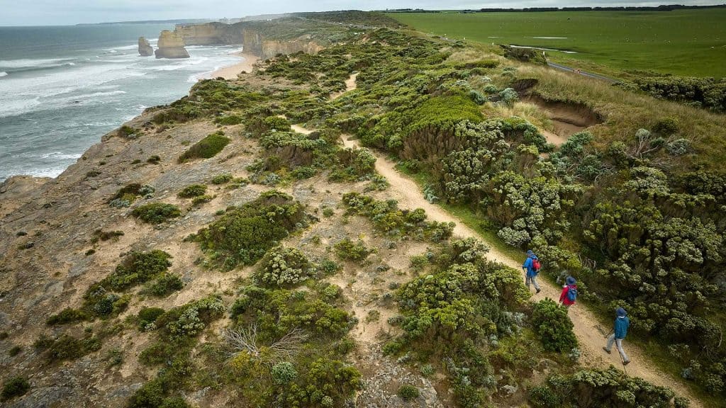 Walk91 hiking towards the 12 Apostles