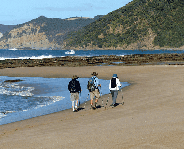 Three hikers dressed in outdoor gear walk along a sandy beach with hiking poles, with rocky cliffs and waves in the background with Walk91 on the Great Ocean Walk