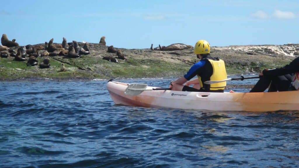 Person in a yellow helmet and life jacket kayaking at Apollo Bay Surf & Kayak at Marengo Seal Colony