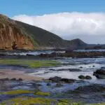 Rocky coastline with patches of green algae, a sandy shore, and a large cliff in the background under a partly cloudy sky—discover this scenic spot near Rainbow Falls and Station Beach. For the best experience, check out tips before you leave.