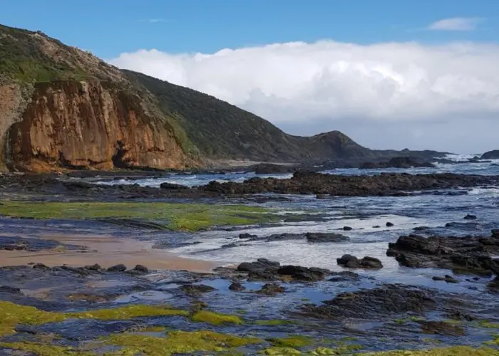 Rocky coastline with patches of green algae, a sandy shore, and a large cliff in the background under a partly cloudy sky—discover this scenic spot near Rainbow Falls and Station Beach. For the best experience, check out tips before you leave.