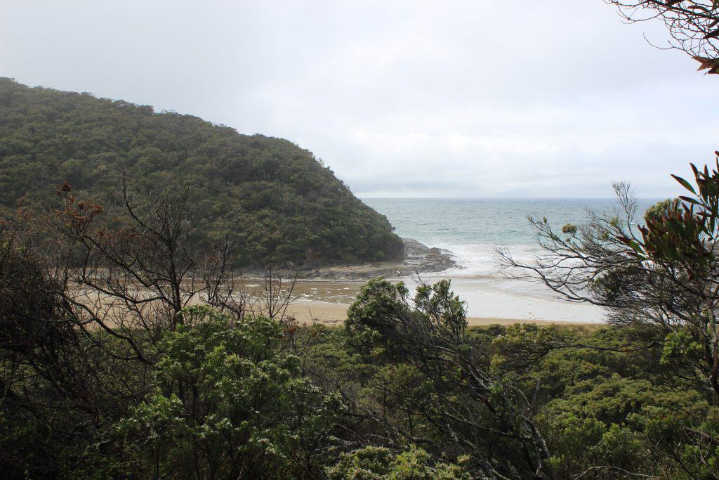 Dense green foliage frames a quiet sandy beach and small bay, with low hills and an overcast sky in the background—perfect for those who walk Parker Hill to Point Franklin or visit Eric the Red Shipwreck on the Great Ocean Walk Walk91.