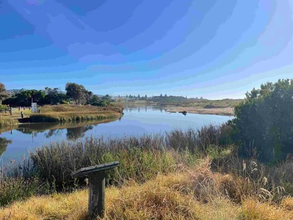 A calm river curves through a grassy landscape under a clear blue sky near the easiest section of the Great Ocean Walk, with a wooden signpost in the foreground and trees lining the distance.